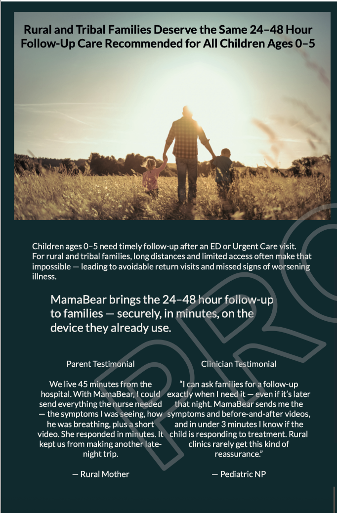 MamaBear pamphlet inside left